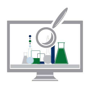 Our Services services