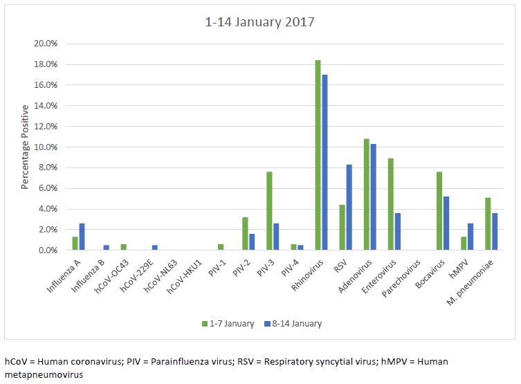 Respiratory Virus Statistics Lancet Laboratories