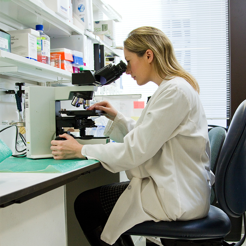 Walter Corner Lancet Laboratory