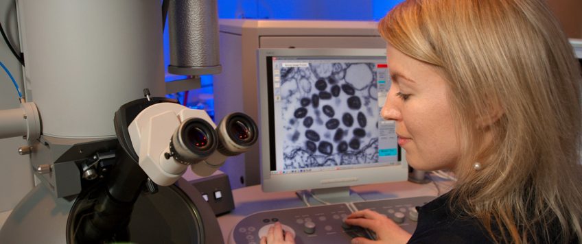 Study on the utility and efficacy of clinical and instrumental tests