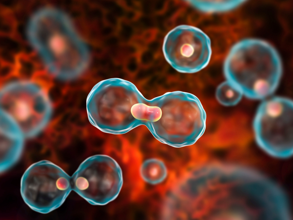 Haematology and Coagulation Lancet Laboratory