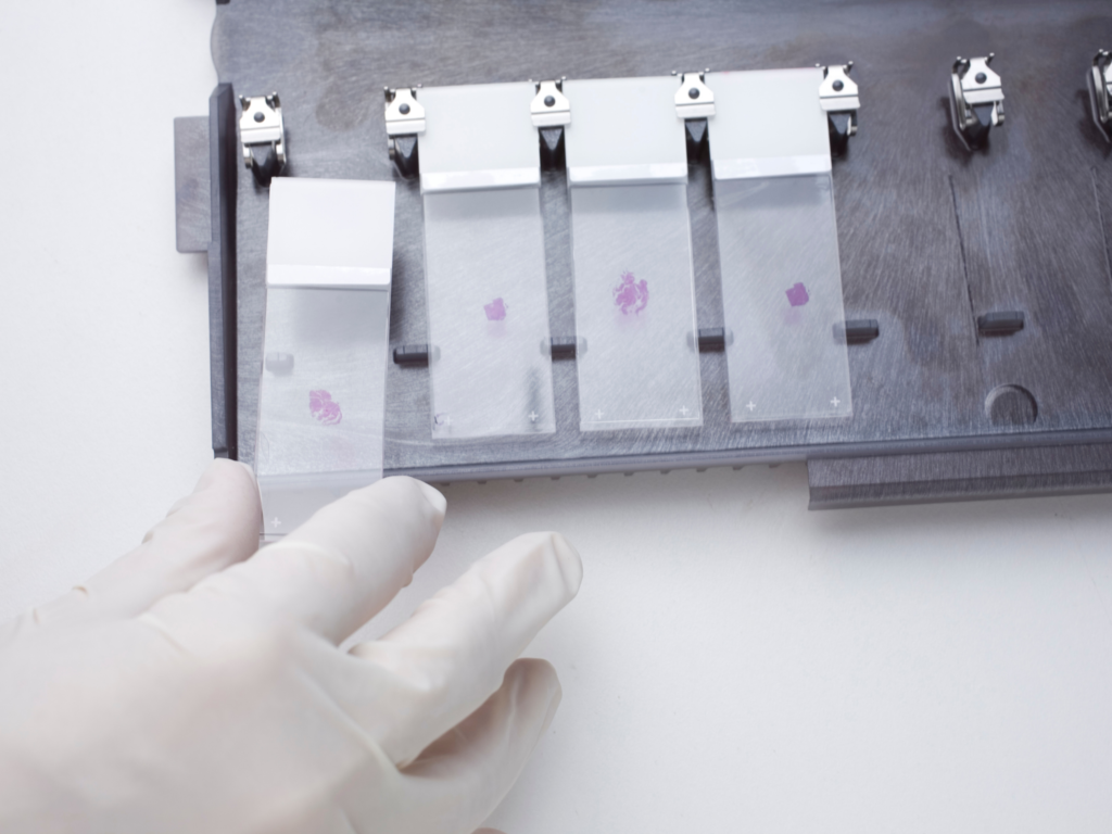 Histology and Cytology Lancet Laboratory