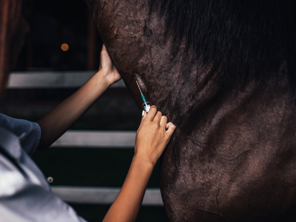 Veterinary Pathology Lancet Laboratory