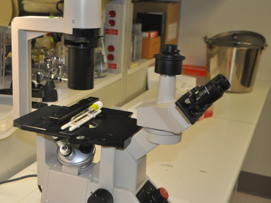 Virology Lancet Laboratory