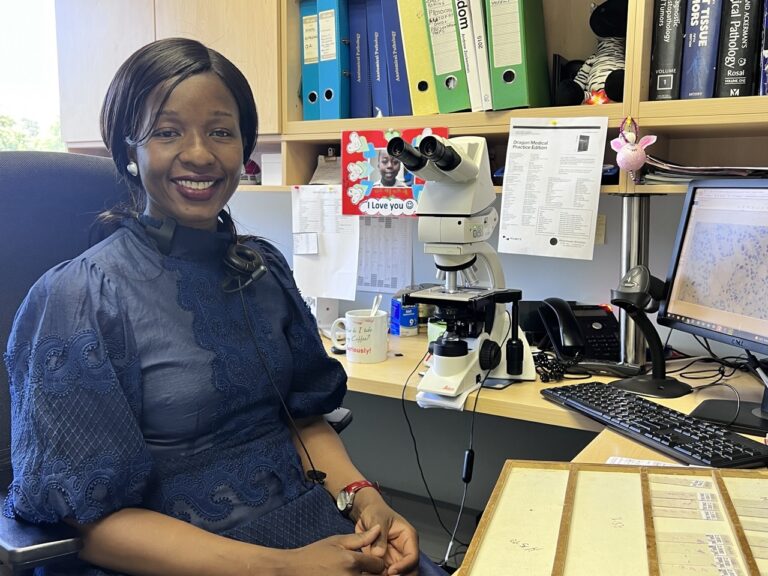 Lanceteers Lancet Laboratory