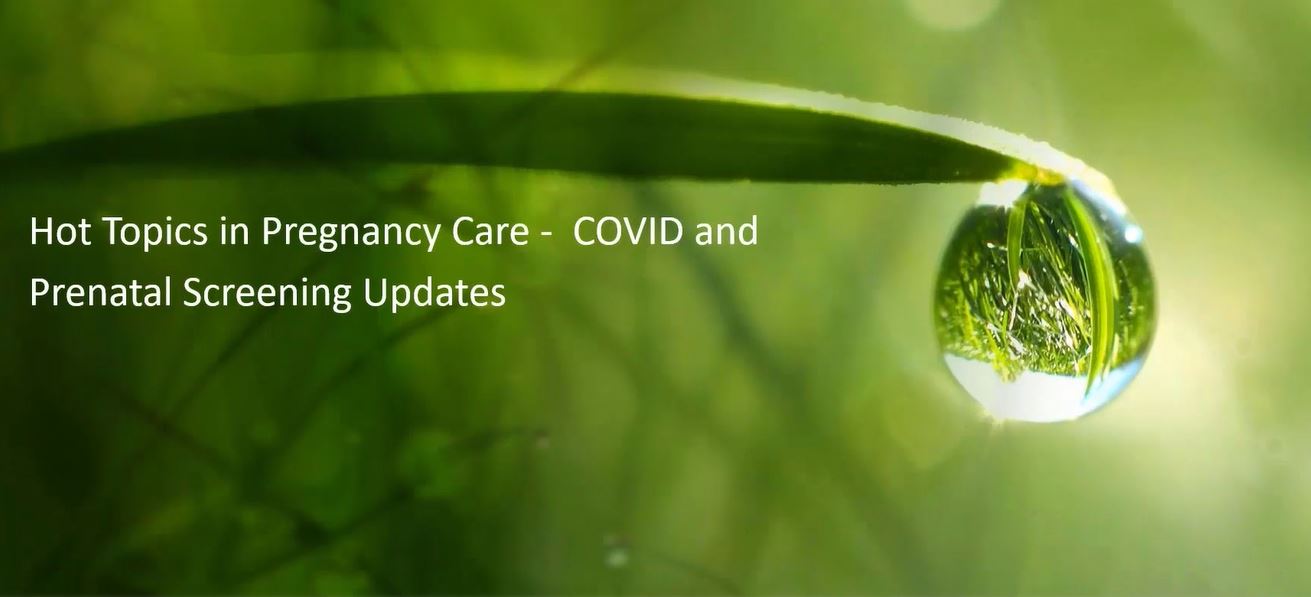 inars Lancet Laboratory