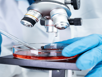 Histology__Cytology